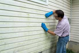 Best Siding Replacement  in Chenoa, IL